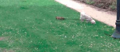 "Đi chầm chậm thôi chị ơi! Em không theo kịp".