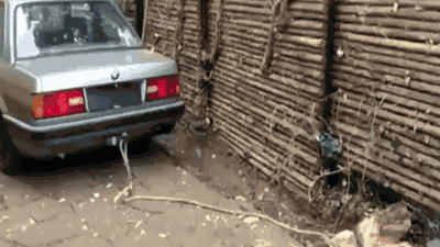 Không có cái dại nào giống cái dại nào. 