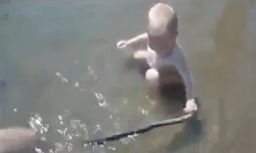 Em bé không biết sợ là gì