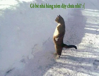 Giây phút “nguy hiểm” của động vật (33)