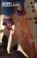 Thót tim ông bố thả con xuống đất bằng dây