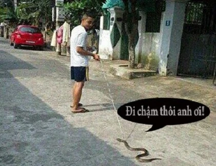 Giây phút “nguy hiểm” của động vật (35)