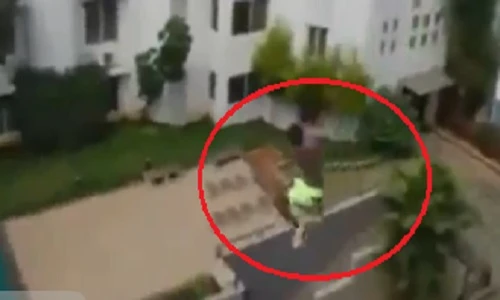 Trai trẻ coi thường tính mạng, nhảy từ tầng 6 xuống bể bơi