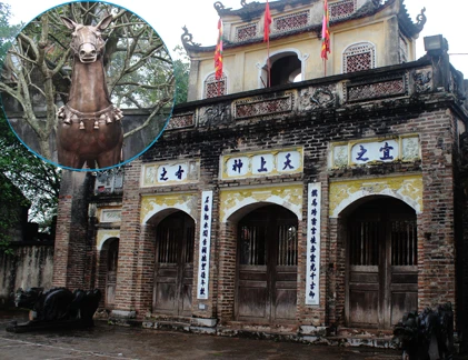 Cận cảnh ngựa, giáp, roi “lạ” ở đền Phù Đổng