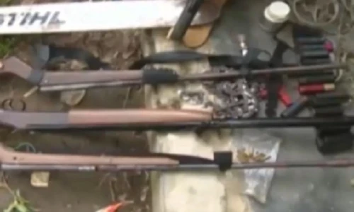 Động vật hoang dã bị truy lùng bằng súng săn hiện đại