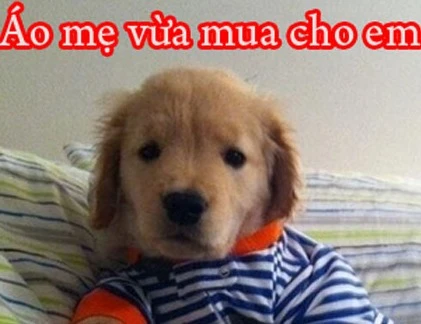 Giây phút “nguy hiểm” của động vật (27)