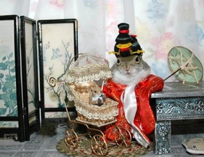 Khoảnh khắc dễ thương của động vật (3)