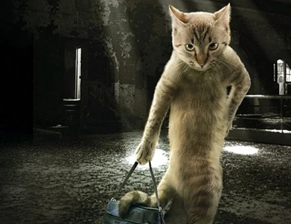 Những chú mèo “đa phong cách“