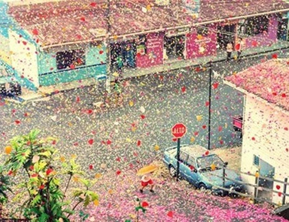 8 triệu cánh hoa sặc sỡ sắc màu bay trên trời