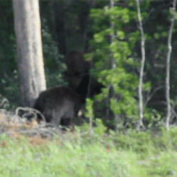"Đừng tưởng lớn mà bắt nạt được bé".