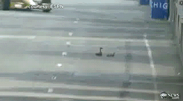 Hành động đẹp.