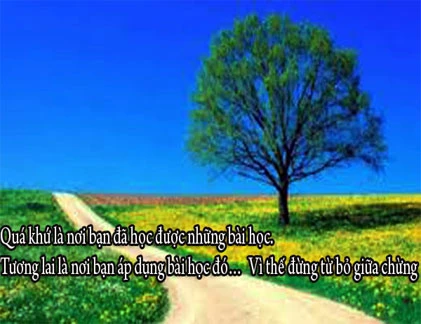 Những câu nói không hay nhưng đủ để suy ngẫm (5)