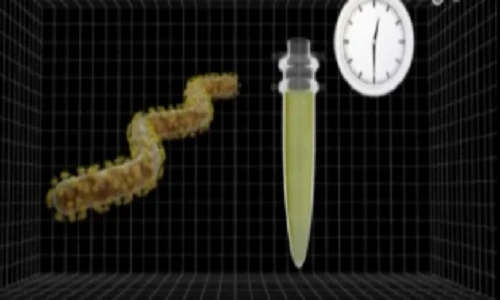 Dụng cụ phát hiện Ebola chỉ trong 30 phút ra đời