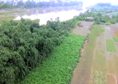 Ngắm vẻ đẹp cầu Long Biên từ trực thăng