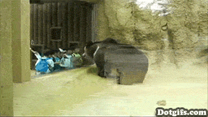 "Nào ta cùng gật"