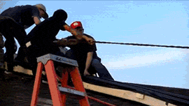 Những trò cơi cực "độc".