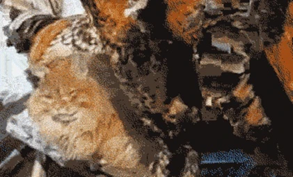 Ảnh động cười toe toét: Kẻ giấu mặt (P73)