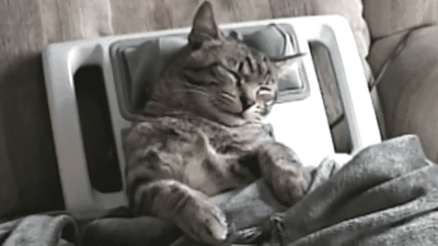 "Ghế massage thật sảng khoái".