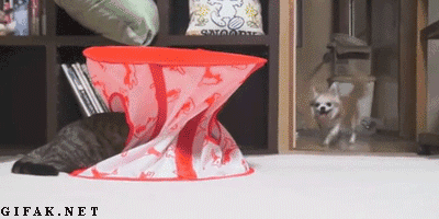 "Trêu tý thôi mà"