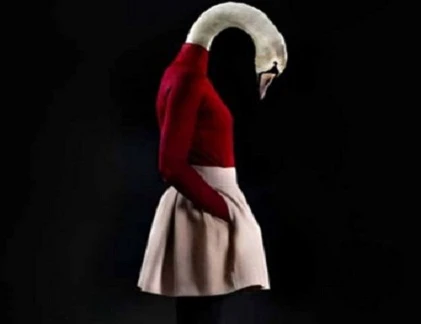 “Mê tít” bộ ảnh thời trang độc đáo của động vật