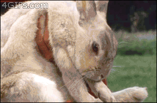 Khi siêu nhân nổi giận