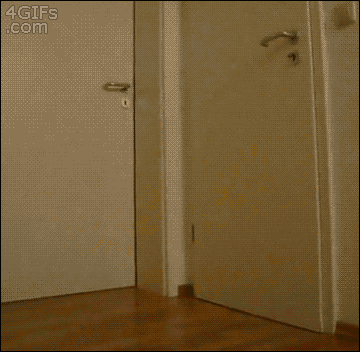 "Nếu thấy cảnh tượng này, bạn sẽ làm gì?"