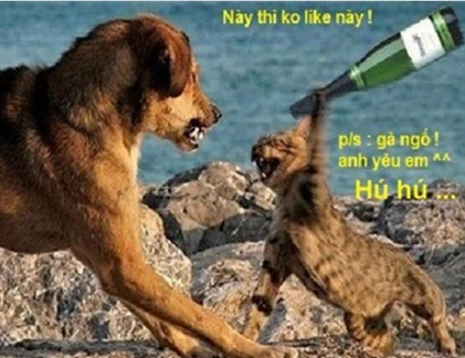 Khi động vật tỏ ra “nguy hiểm” (P2)