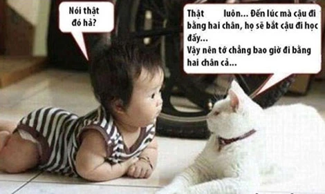 Chùm ảnh ngộ nghĩnh trẻ thơ siêu hài hước (P3)