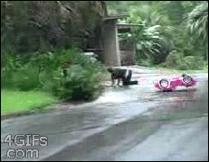 Tay đua siêu hạng