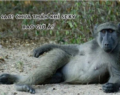 Khi động vật tỏ ra “nguy hiểm” (P12)