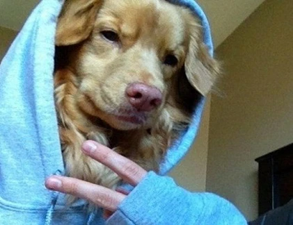 Động vật cũng biết “tự sướng“