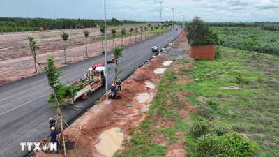 Đồng Nai đấu giá 3 khu "đất vàng," dự kiến thu hơn 7.600 tỷ đồng