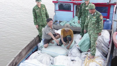 Vĩnh Long: Thu giữ hơn 5 tấn sản phẩm nghi từ động vật hoang dã trên biển