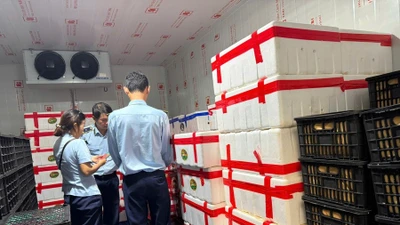 Phát hiện kho lạnh chứa 2,5 tấn trái cây không rõ xuất xứ ở Gia Lai