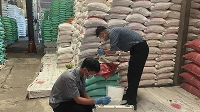 Cần Thơ phạt hơn 300 triệu đồng cơ sở gắn nhãn giả gạo đặc sản Hồng Dân