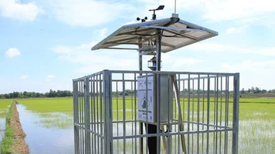 Chỉ 01 nhà thầu tham dự gói hơn 4 tỷ tại BQLDA CSAT Trà Vinh