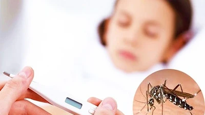 TP.HCM gấp rút phòng chống sốt xuất huyết, cảnh báo thêm bệnh Chikungunya