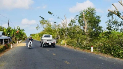 Cà Mau: Gói thầu 8,6 tỷ chỉ một nhà thầu tham dự và trúng
