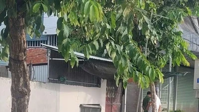 Sinh viên nước ngoài gặp nạn khi chạy xe máy tốc độ cao