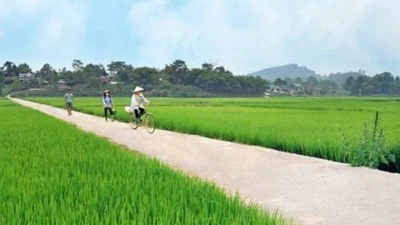 Trà Vinh: Cty Lương Hòa trúng thầu sửa đường hơn 4 tỷ