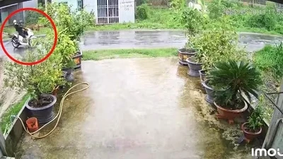 Hai thanh niên tử vong do va trúng dây điện đứt ở Trà Vinh