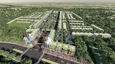 Long An: Chủ dự án An Phú Sinh bị ngừng sử dụng hóa đơn do nợ thuế 130 tỷ