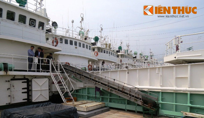 Đại diện công ty cổ phần Đức Khai trong chuyến công tác sang các nước Nhật, Hàn Quốc, Úc để khảo sát, hợp đồng mua tàu và đều nhận được sự ủng hộ, giúp đỡ của các nước trước ý chí vừa hoạt động kinh tế vừa mang ý nghĩa bảo vệ chủ quyền biển đảo của Việt Nam.
