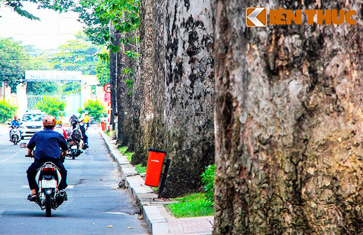 Những con đường mát mẻ, rợp bóng cây như đường 3/2 với hàng xà cừ trăm tuổi này khiến ai đi qua cũng cảm thấy thư thái, dễ chịu.