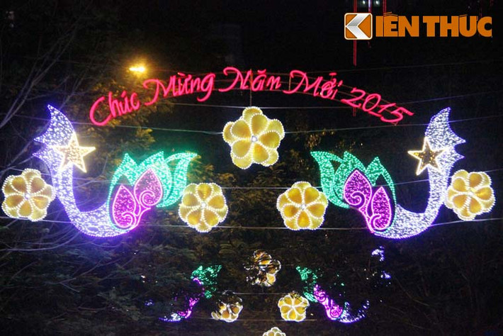 Hình ảnh những cánh hoa mai, hoa sen tượng trưng cho vùng đất phương Nam là không thể thiếu mỗi độ xuân về.