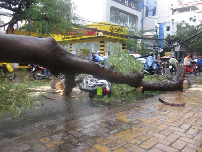 Một chiếc xe máy cũng bị đè ngã khiến người điều khiển xây xát.