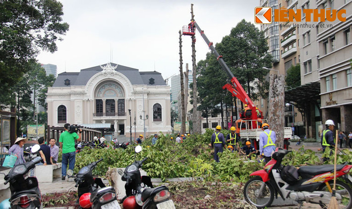 "Sống và lớn lên tại Sài Gòn hơn cả đời người. Sau đúng 40 năm thống nhất đất nước, tôi mới chứng kiến một công trình đồ sộ, quy mô lần đầu tiên được thi công ngay giữa trung tâm thành phố". Bà Nguyễn Ngọc Mai, ngụ phường Bến Thành, quận 1, chia sẻ. Trong khi đó, số khác phấn khởi: "Vậy là thành phố chúng ta thực sự sắp có tuyến đường sắt đô thị hiện đại rồi, lâu nay người dân chỉ nghe, chứ chưa chứng kiến tận mắt...".