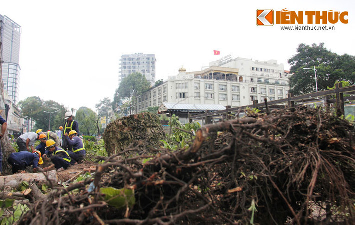 Tuy nhiên, cũng không ít người làm ăn kinh doanh, mua bán xung quanh "đất vàng" trên đường Lê Lợi, Nguyễn Huệ với tiền thuê mặt bằng hàng ngàn USD mỗi tháng lo lắng vì sợ ảnh hưởng đến việc làm ăn khi công trình thi công, dự kiến kéo dài đến tháng 3/2015.