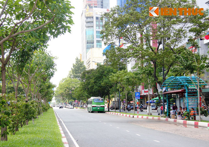 Tuyến đường Hàm Nghi dài hơn 1km vô cùng thơ mộng với hàng cây xanh rợp bóng mát, dọc 2 bên đường với 6 làn xe.