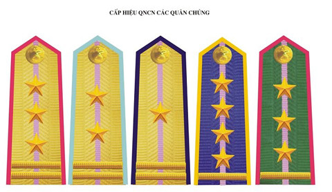 Trong quân đội ta còn có một bộ phận các quân nhân chuyên nghiệp là "quân nhân có trình độ chuyên môn, kỹ thuật cần thiết cho công tác chỉ huy, chiến đấu, bảo đảm chiến đấu, xây dựng quân đội và tình nguyện phục vụ lâu dài trong quân đội”. Quân hàm của quân nhân chuyên nghiệp có một gạch dọc ở giữa quân hàm để phân biệt còn về sao và gạch thì tương tự như quân hàm bình thường.